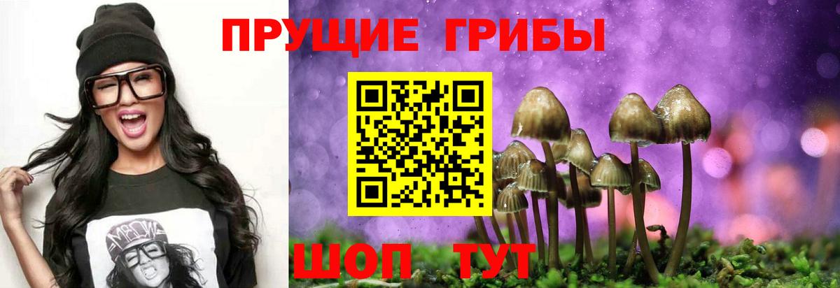Галлюциногенные грибы Cubensis Минусинск