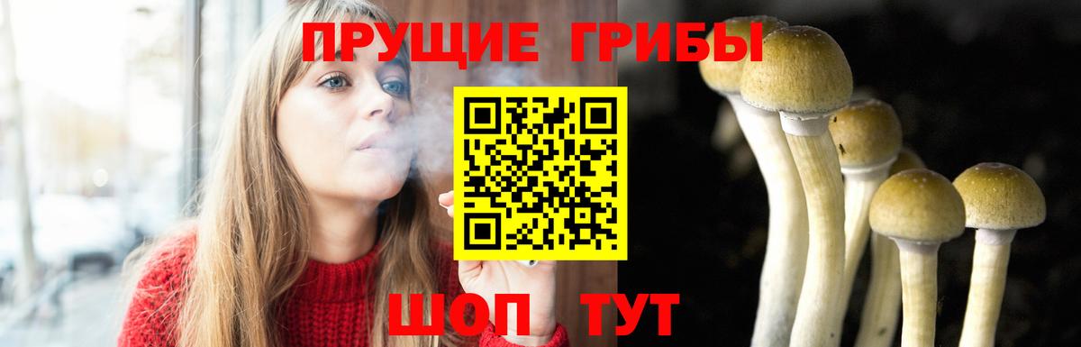 Галлюциногенные грибы MAGIC MUSHROOMS  Вход с VPN  Минусинск 