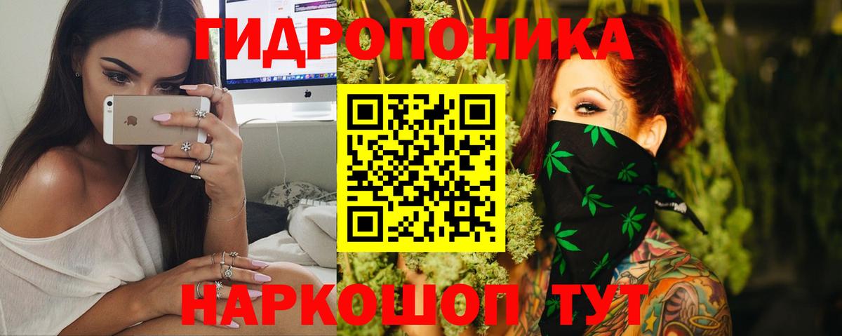 Бошки марихуана ГИДРОПОН Минусинск